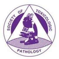 Society of Toxicologic Pathology (STP)