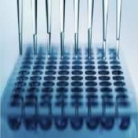 The Eye Research Foundation (ERF)