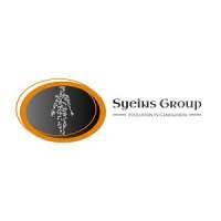 Syeins Group (SG)