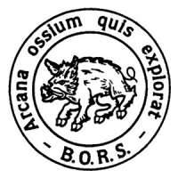 British Orthopaedic Research Society (BORS)