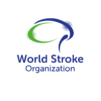 World Stroke Organization (WSO)