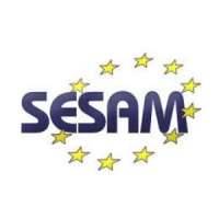 Society in Europe for Simulation Applied to Medicine (SESAM)