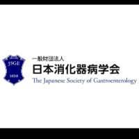 Japanese Society of Gastroenterology (JSGE)