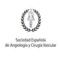 Spanish Society of Angiology and Vascular Surgery / Sociedad Espanola de Angiologia y Cirugia Vascular (SEACV)