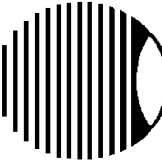 East Florida Eye Institute (EFEI)