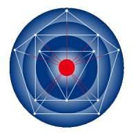The Japanese Society of Intensive Care Medicine (JSICM)