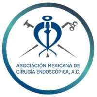Mexican Association of Endoscopic Surgery / Asociacion Mexicana de Cirugia Endoscopica (AMCE)