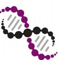 Cherney Microbiological Services, Ltd