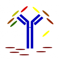 Autumn Immunology, Inc.