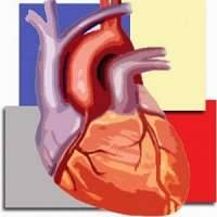 Amery Medical Academy (AMA)