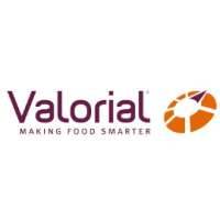Valorial