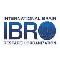 International Brain Research Organization (IBRO)