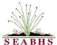 Southeastern Arizona Behavioral Health Services, Inc. (SEABHS)