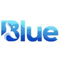 Blue Holding