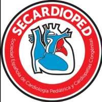 Spanish Society of Pediatric Cardiology and Congenital Heart Diseases / Sociedad Espanola de Cardiologia Pediatrica y Cardiopatias Congenitas (SECPCC)