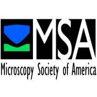 Microscopy Society of America (MSA)