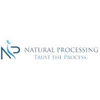 Natural Processing (NP)