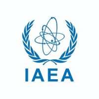 International Atomic Energy Agency (IAEA)