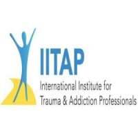 International Institute for Trauma and Addiction Professionals (IITAP)