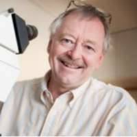 Ronald Unger