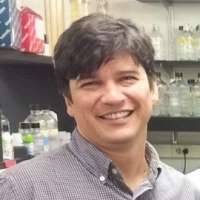 Mauricio Reginato
