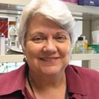 Denise A. Galloway