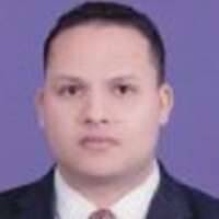 Ehab Fawzy Salim Bayoumi