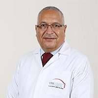 Naguib Mohamed Hassan Abdel Reheim