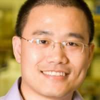 Yibin Kang