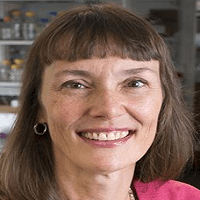 Marjolein C. H. Van Der Meulen
