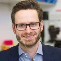 Alexander Bartelt