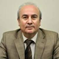 Unal Egeli