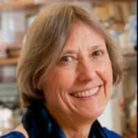 Nancy E. Kleckner