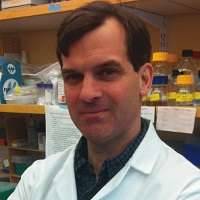 Matthew C. Havrda