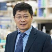 Guojun D. Bu