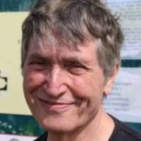 Michael Stark