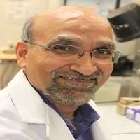 Radhey S. Gupta