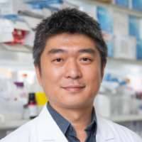 Jun Wu