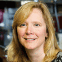 Frances E. Lund
