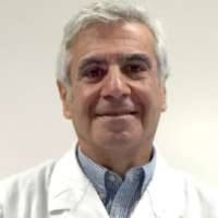 Leonardo Punzi