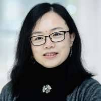 Liping Feng
