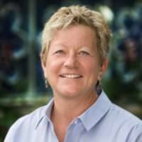 Lise N. Alschuler