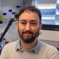 Jordi Minguillon Pedreno