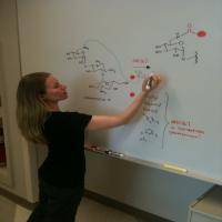 Sylvie Garneau-tsodikova