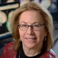 Brenda Rapp