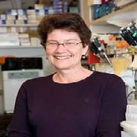 Suzanne L. Mansour