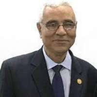 Abdelmonem Hegazy