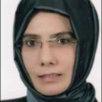 Songul Kilic