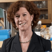 Karen A. Gelmon