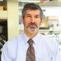 Mark Sigman